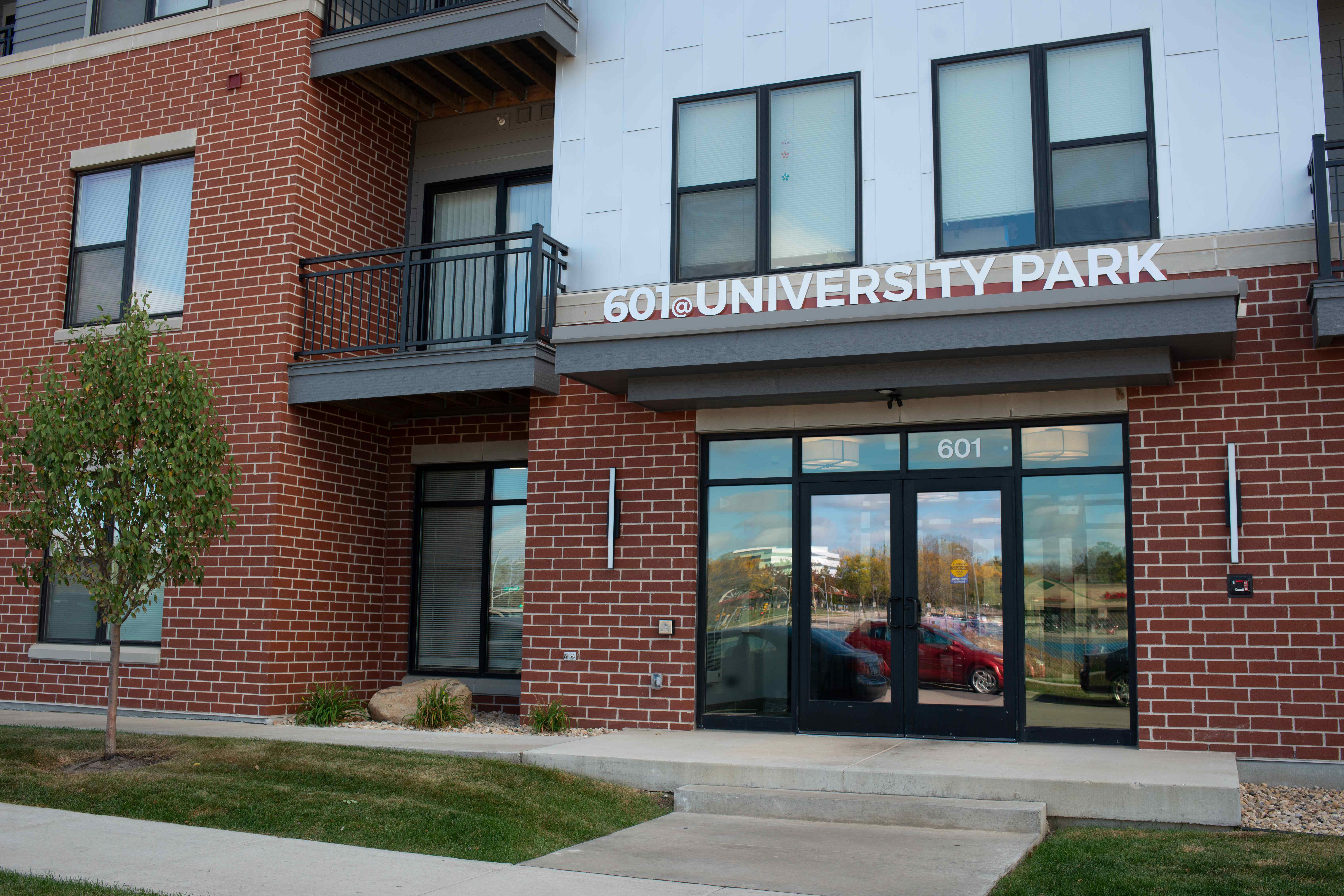 Two People Collaborating